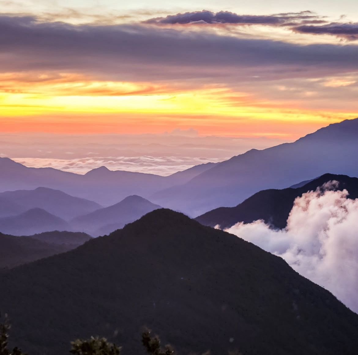 FARALLONES DEL CITARÁ