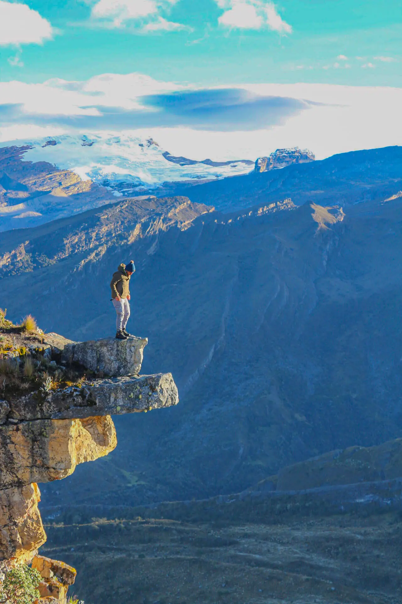 Páramo y frailejones