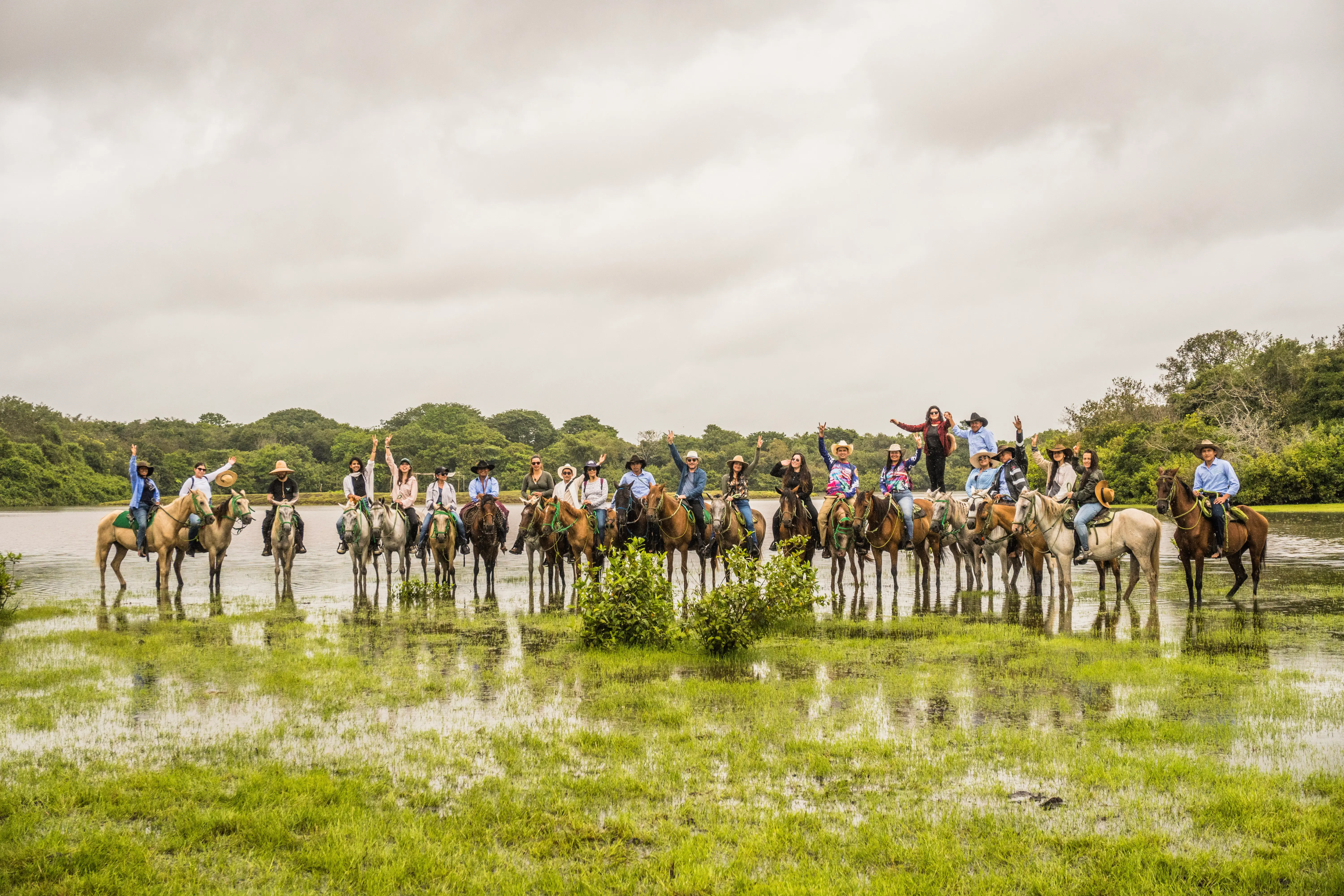 Avistamiento de fauna silvestre en el llano casanareño