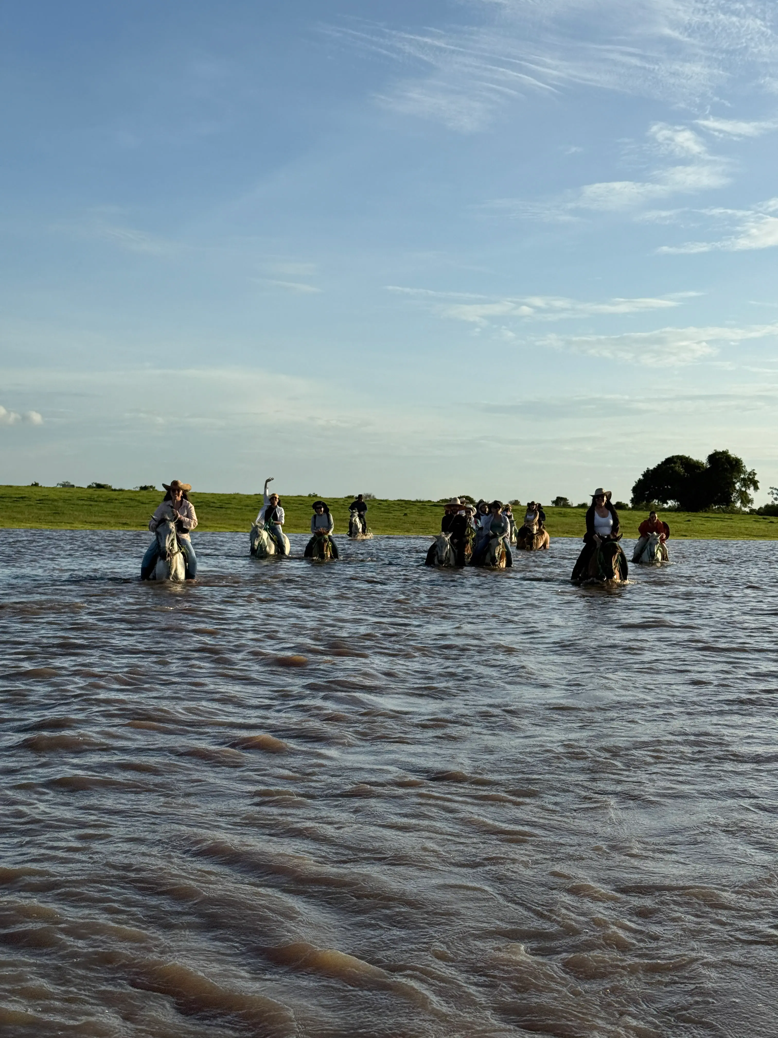 Experiencia de vaquería y trabajo de campo en el Hato Boral
