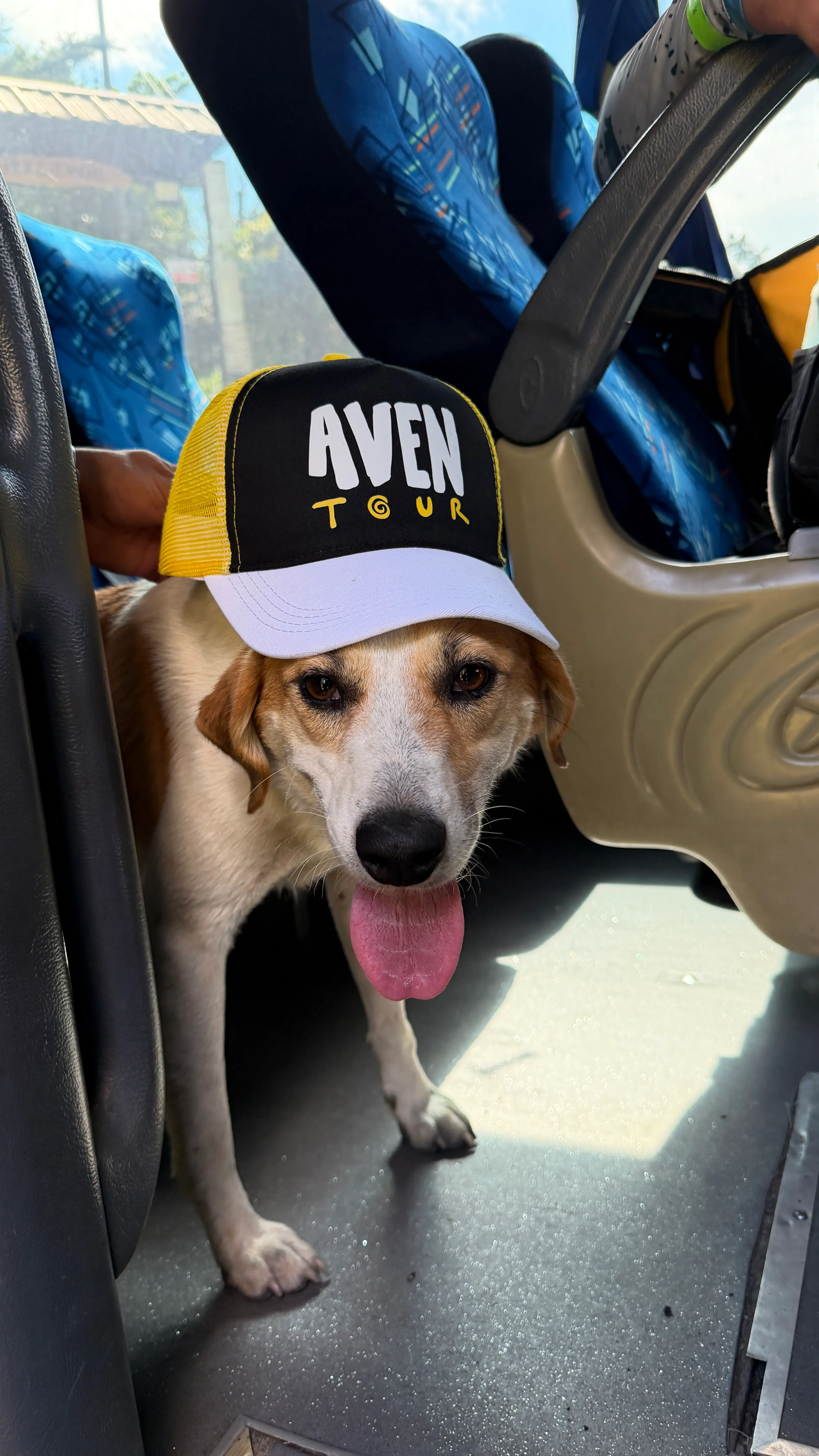 Gorra Aventour Colombia